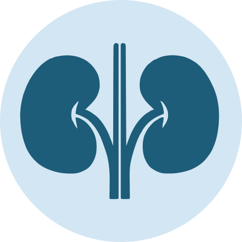Nephrologist 
